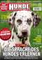 Preview: Hunde-Reporter - Ausgabe 40