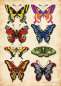 Preview: Schmetterlinge - Tattoo Vorlagen Buch - Volume 1