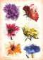 Preview: Watercolor - Premium Style - Tattoo Vorlagen