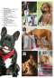 Preview: Hunde-Reporter - Ausgabe 87 - September 2019