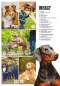 Preview: Hunde-Reporter - Ausgabe 67 - Januar 2018