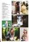 Preview: Hunde-Reporter - Ausgabe 67 - Januar 2018