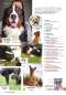Preview: Hunde-Reporter - Ausgabe 59 - Mai 2017