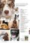 Preview: Hunde-Reporter - Ausgabe 57 - März 2017