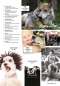 Preview: Hunde-Reporter - Ausgabe 57 - März 2017