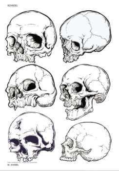Sina Shop Skulls Bones Totenschadel Und Knochen