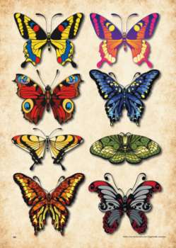 Schmetterlinge - Tattoo Vorlagen Buch - Volume 1