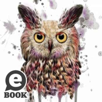 Eulen Tattoovorlagen Volume 1 - E-Book