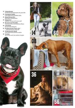 Hunde-Reporter - Ausgabe 87 - September 2019