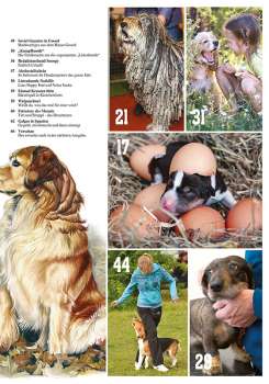 Hunde-Reporter - Ausgabe 86 - August 2019