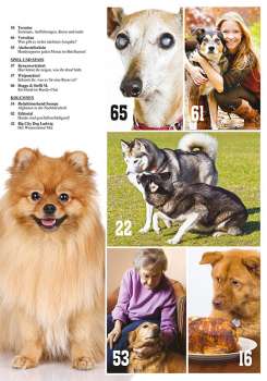Hunde-Reporter - Ausgabe 83 - Mai 2019