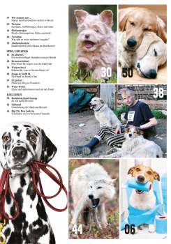 Hunde-Reporter - Ausgabe 80 - Februar 2019