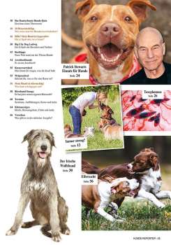 Hunde-Reporter - Ausgabe 60 - Juni 2017