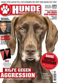 Hunde-Reporter - Ausgabe 55 - Januar 2017 - Kopie