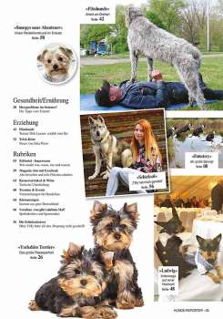 Hunde-Reporter - Ausgabe 50 - August 2016