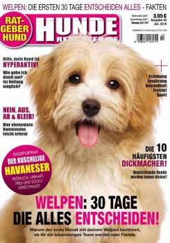 Hunde-Reporter - Ausgabe 43