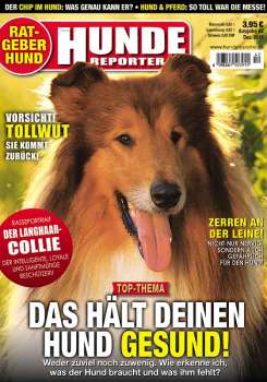 Hunde-Reporter - Ausgabe 41 - Kopie
