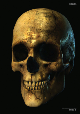Sina Shop Skulls Bones Totenschadel Und Knochen