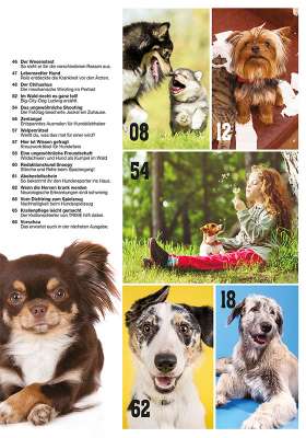 Hunde-Reporter - Ausgabe 108 - Juni 2021
