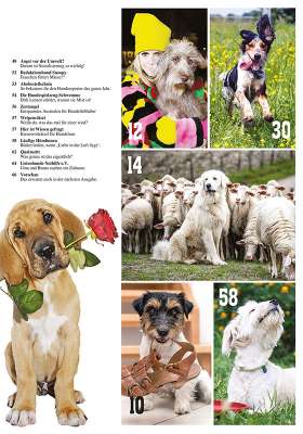 Hunde-Reporter - Ausgabe 106 - April 2021