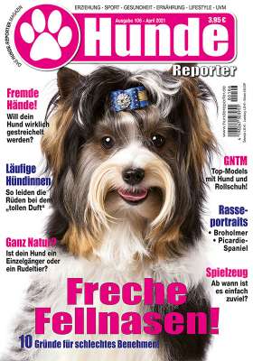 Hunde-Reporter 106