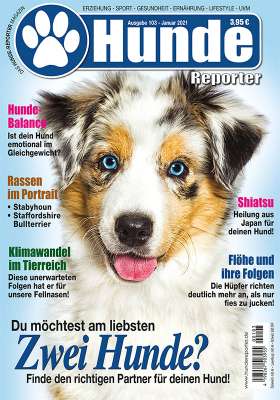 Hunde-Reporter 103