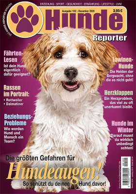Hunde-Reporter 102