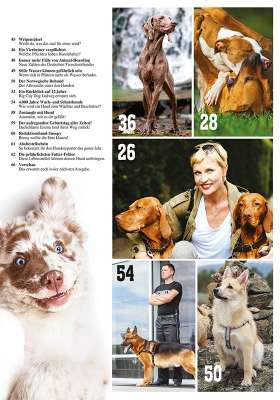 Hunde-Reporter - Ausgabe 92 - Februar 2020