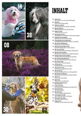 Hunde-Reporter - Ausgabe 88 - Oktober 2019