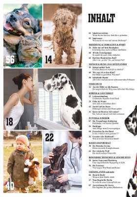 Hunde-Reporter - Ausgabe 80 - Februar 2019