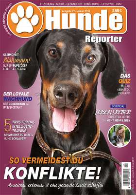 Hunde-Reporter - Ausgabe 67 - Januar 2018