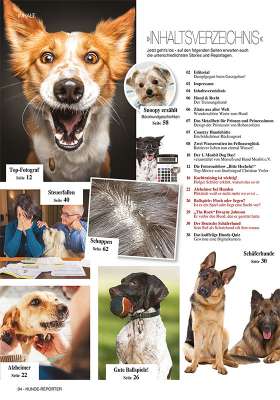 Hunde-Reporter - Ausgabe 62 - August 2017