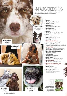 Hunde-Reporter - Ausgabe 57 - März 2017
